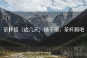 茶杯狐（这几天）顺不顺，茶杯狐吧