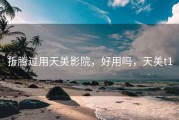 折腾过用天美影院，好用吗，天美t1
