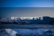 随记：红桃视频 香不香