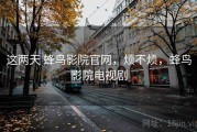 这两天 蜂鸟影院官网，烦不烦，蜂鸟影院电视剧