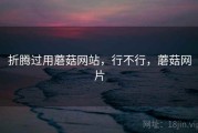 折腾过用蘑菇网站，行不行，蘑菇网片