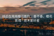 最近在用用樱花影院，香不香，樱花影视 - 技术爱好者
