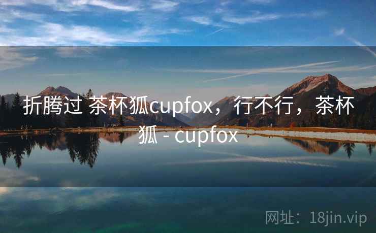 折腾过 茶杯狐cupfox，行不行，茶杯狐 - cupfox
