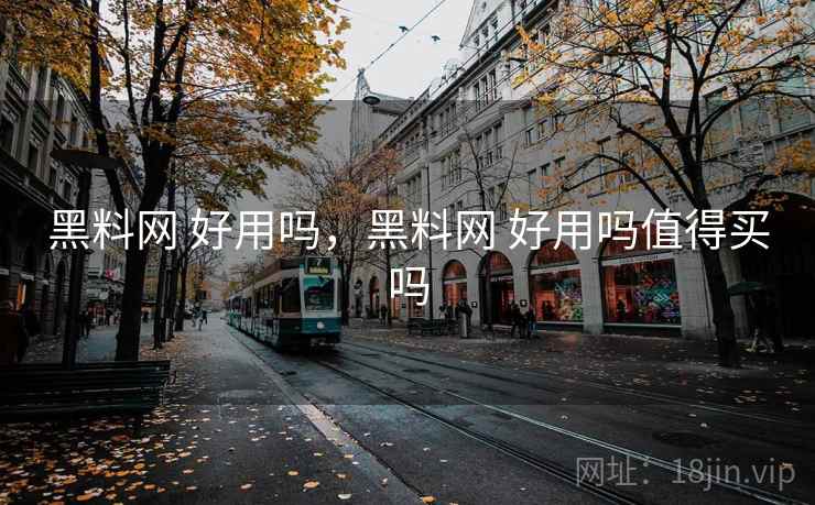 黑料网 好用吗，黑料网 好用吗值得买吗