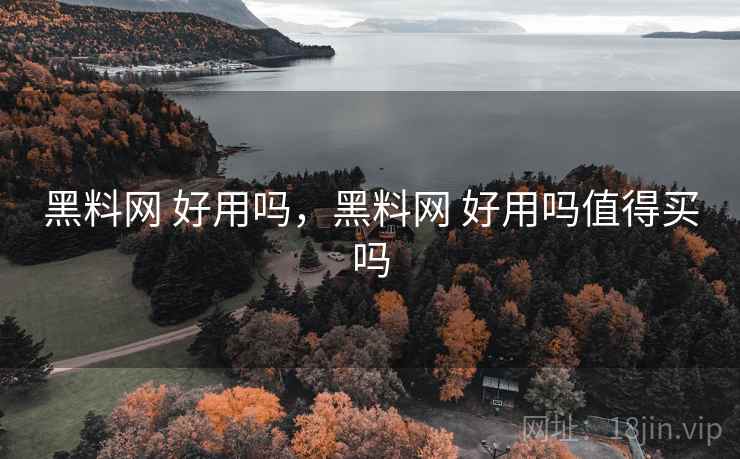 黑料网 好用吗，黑料网 好用吗值得买吗