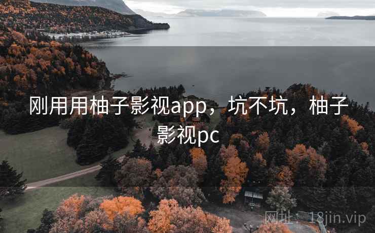 刚用用柚子影视app，坑不坑，柚子影视pc